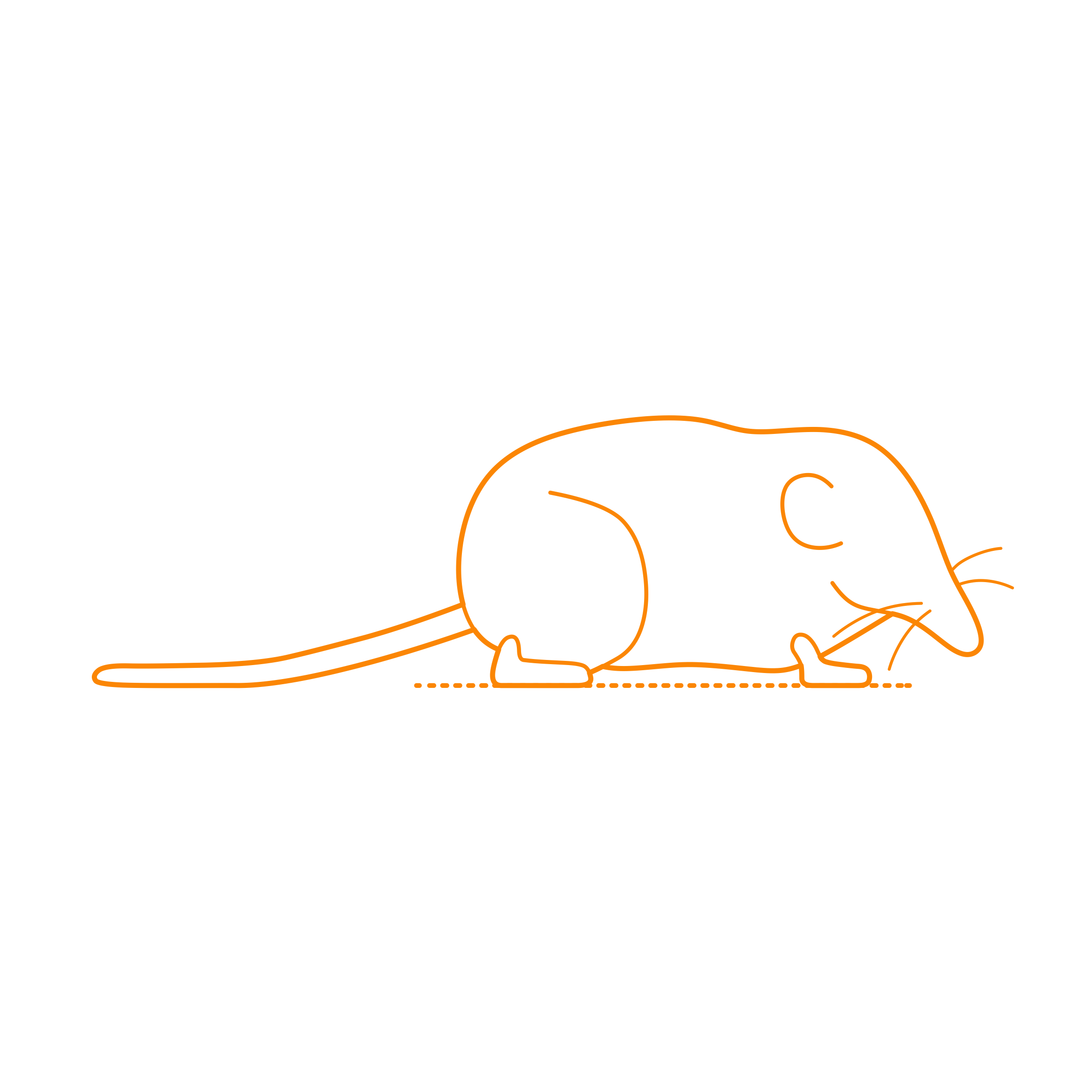 Animals Eulipotyphla Common Shrew Eurasian Shrew Craft Design Svg File Free Vectors